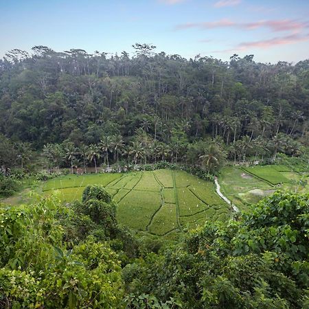 Black Penny Villas Ubud Ngoại thất bức ảnh